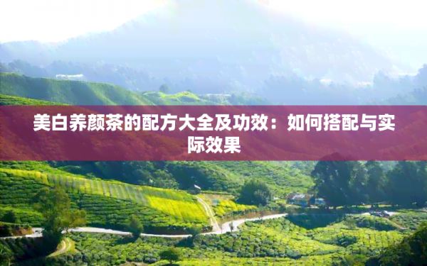 美白养颜茶的配方大全及功效：如何搭配与实际效果