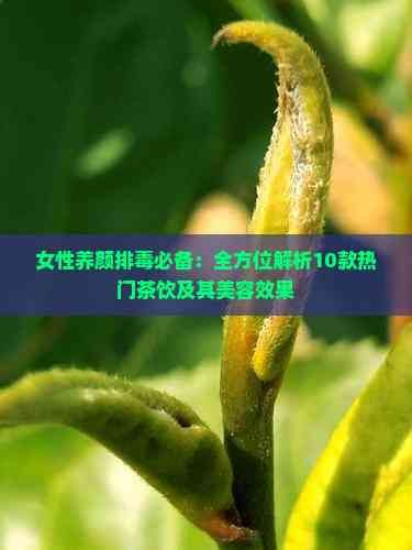 女性养颜排必备：全方位解析10款热门茶饮及其美容效果
