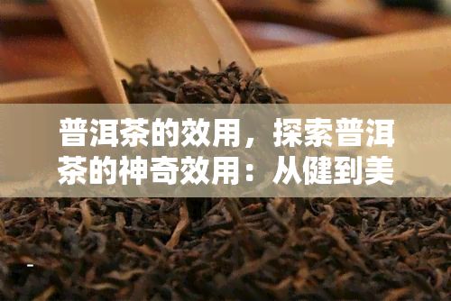 普洱茶的效用，探索普洱茶的神奇效用：从健到美容，一文了解全貌