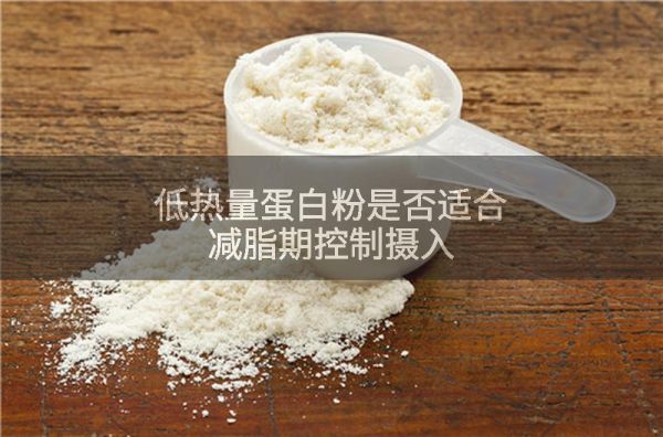 低热量蛋白粉是否适合减脂期控制摄入