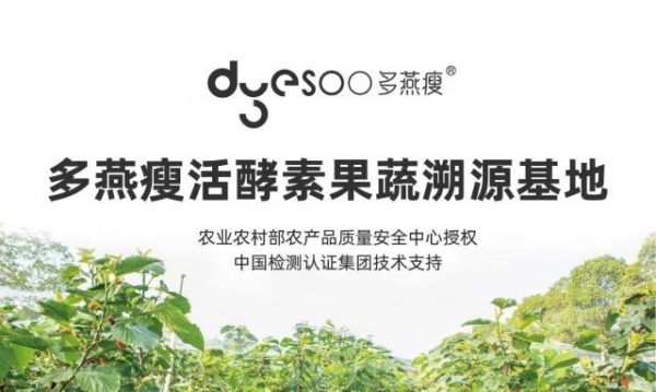多燕瘦联袂专家共创《活酵素团体标准》，为消费者筑牢健康防线