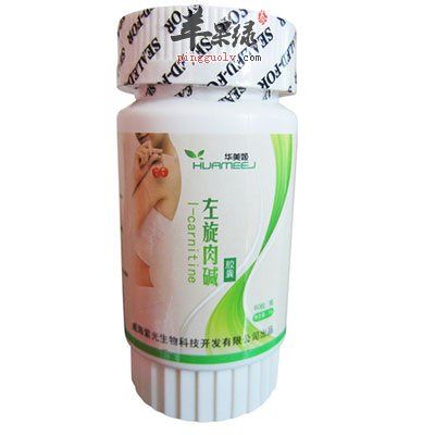 左旋肉酸