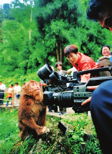 峨眉山的“山大王”