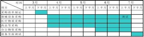 XX醫(yī)院籌建工作計(jì)劃