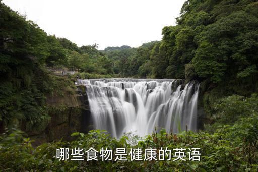 哪些食物是健康的英语
