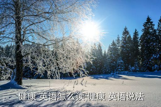 健康 英语怎么读 健康 英语说法