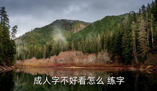  成人字不好看怎么 練字