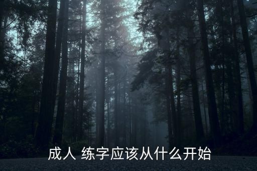  成人 練字應(yīng)該從什么開(kāi)始
