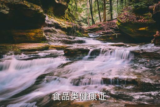 食品类健康证