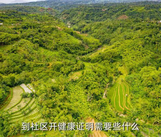 到社区开健康证明需要些什么