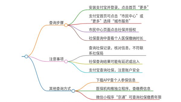 支付寶能查到醫(yī)保繳費年限嗎