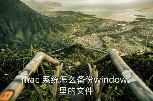 mac 系统怎么备份windows里的文件