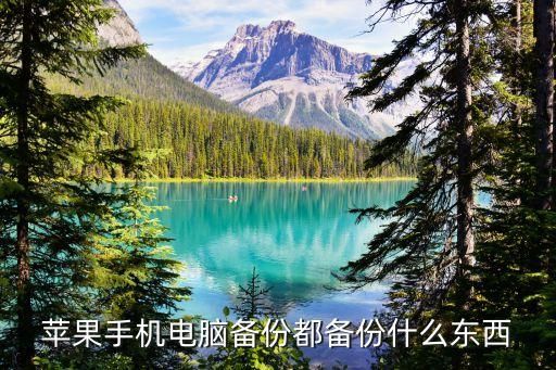 苹果手机电脑备份都备份什么东西