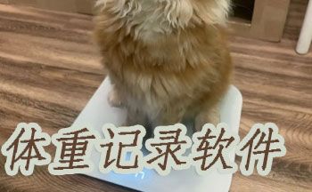 体重记录软件