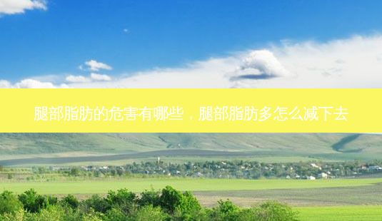 腿部脂肪的危害有哪些，腿部脂肪多怎么減下去-第1張圖片-美唄嚴(yán)選網(wǎng)