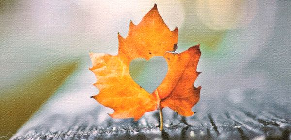 心理咨詢中心免費(fèi)咨詢熱線