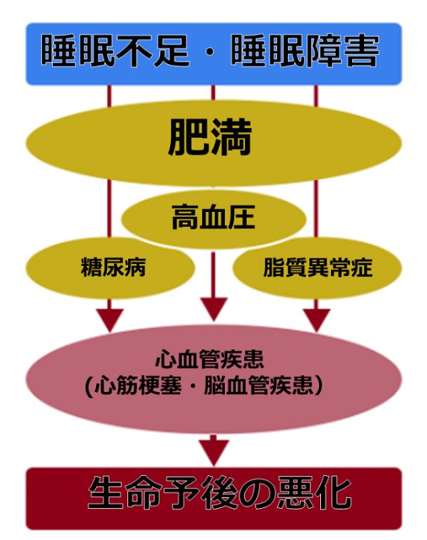 図1：睡眠不足?睡眠障害が生活習(xí)慣病の発癥につながることを示す図。