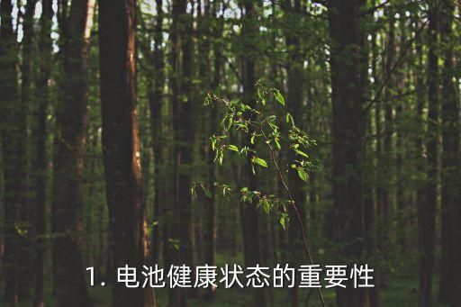 1. 電池健康狀態(tài)的重要性