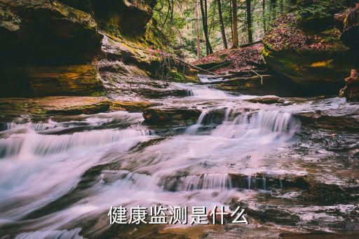 健康监测是什么