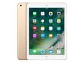 蘋果9.7英寸iPad(128GB/WLAN)