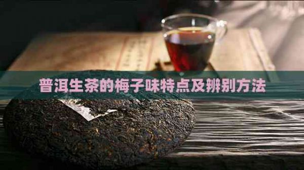 普洱生茶的梅子味特點(diǎn)及辨別方法