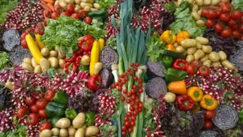 Improve Enzyme output & Master your Digestion