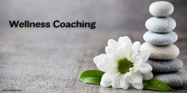 Wellness Coach Online