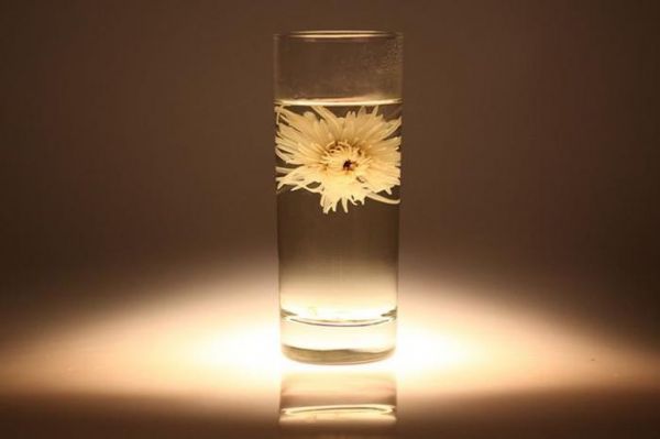 枸杞菊花茶的功效與禁忌，適合用眼過度、眼睛干澀的人飲用！