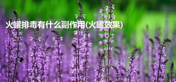 火罐排毒有什么副作用(火罐效果)