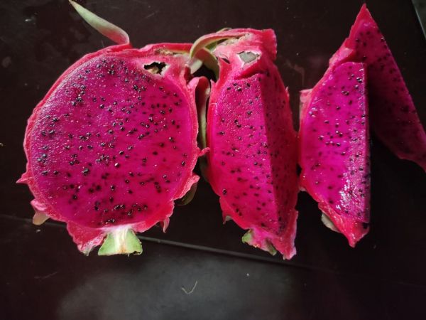 火龍果切開展示果肉與果皮