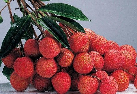 荔枝的營(yíng)養(yǎng)價(jià)值與功效
