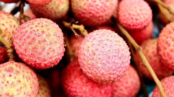 荔枝怎样吃才健康