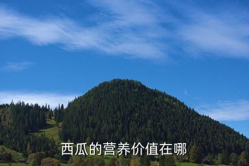 西瓜的营养价值在哪