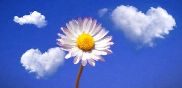 沉默的螺旋理论内容是什么