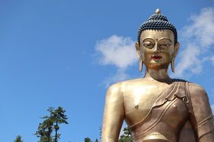 塑造完美人生，健美生活藝術(shù)與家教漠空all27的融合之道