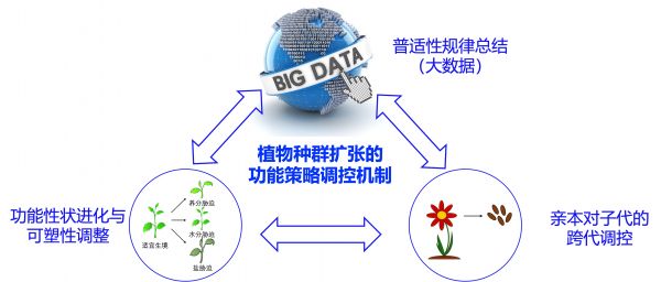 主要研究方向