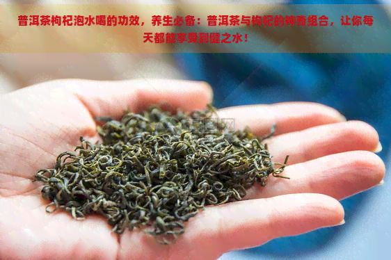 普洱茶枸杞泡水喝的功效，養(yǎng)生必備：普洱茶與枸杞的神奇組合，讓你每天都能享受到健之水！