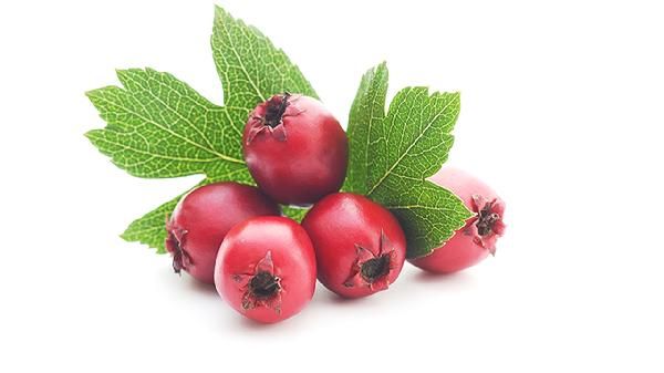 山楂有刮油的功效嗎