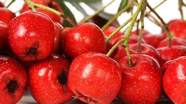 山楂有刮油的功效嗎