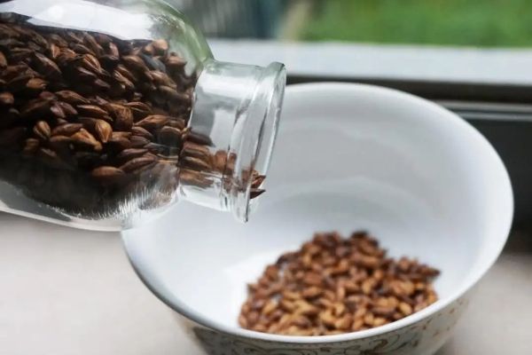 大麥茶的功效與禁忌，常喝大麥茶的好處和壞處