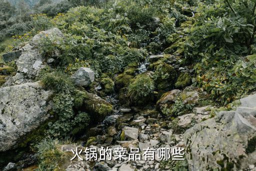 火鍋的菜品有哪些