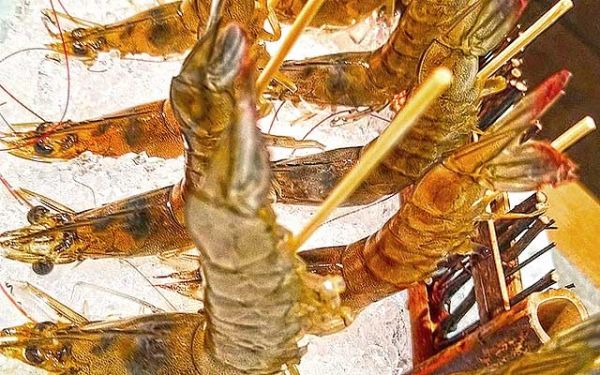 火鍋底料批發(fā)