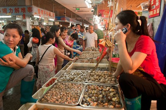 怎樣吃海鮮最健康