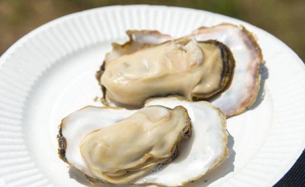 海鮮類(lèi)食物有哪些