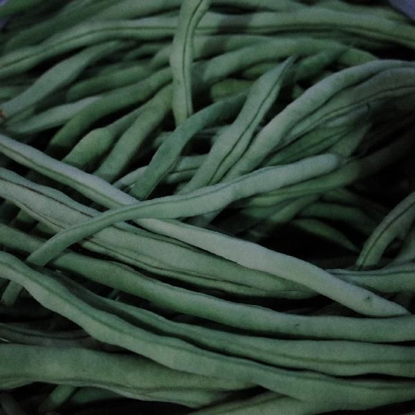 卤菜素菜都有哪些菜品