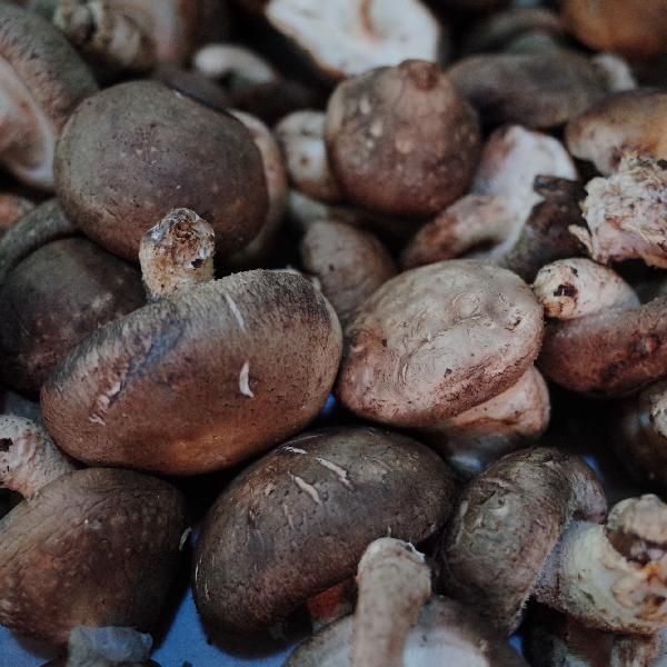 炒素菜一般放什么調(diào)料