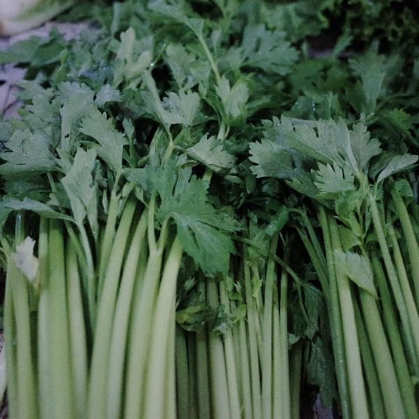 炒素菜一般放什么調(diào)料