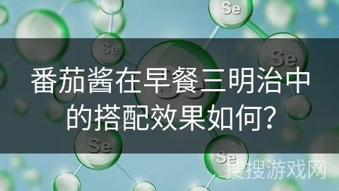 番茄醬在早餐三明治中的搭配效果如何？