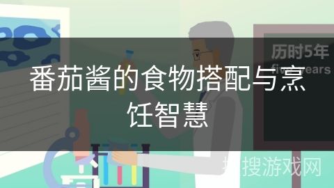 番茄醬的食物搭配與烹飪智慧