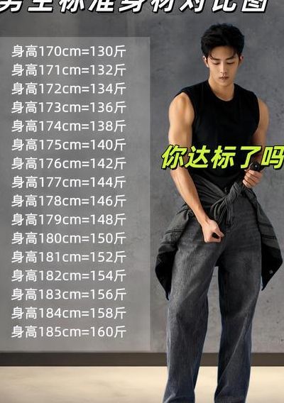 男的身材参数对照表图（男性身材比例表图片）